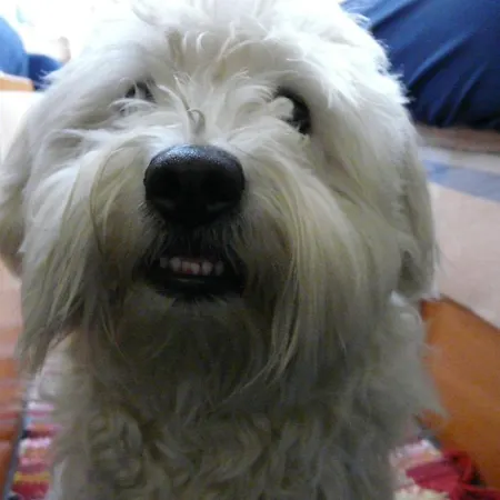 Al Castello Couette-café Foglizzo