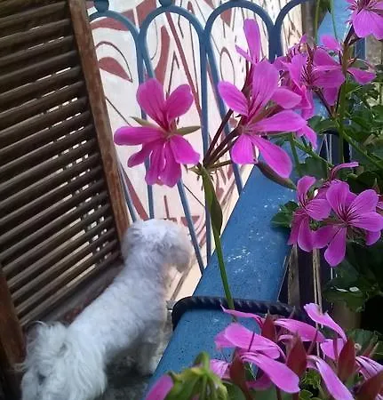 Couette-café Al Castello