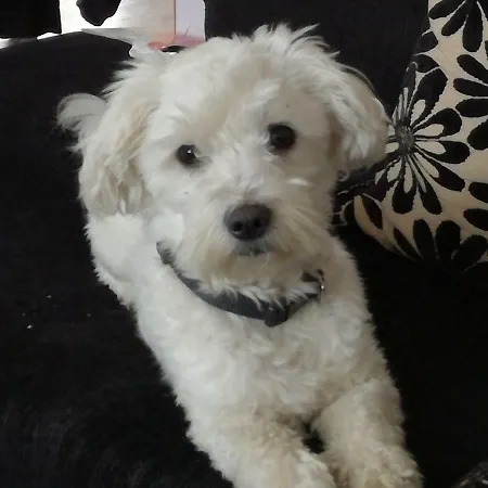 Al Castello * Foglizzo