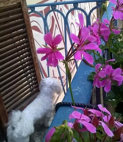 فندق مبيت وإفطار Al Castello